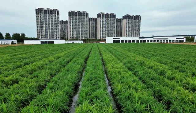 商务套装定制中质量检验的适用条件分析
